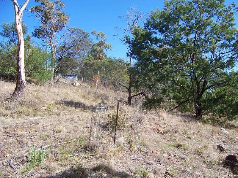55 Tolpuddle Drive, Richmond TAS 7025