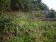 119 Coxs Road, Middleton TAS 7163