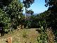 81 Palmers Road, Oyster Cove TAS 7150