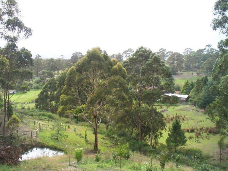 36 Jacobsons Place, Kingston TAS 7050