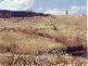 - Dulcia Road, Gordon TAS 7150