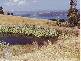 - Dulcia Road, Gordon TAS 7150