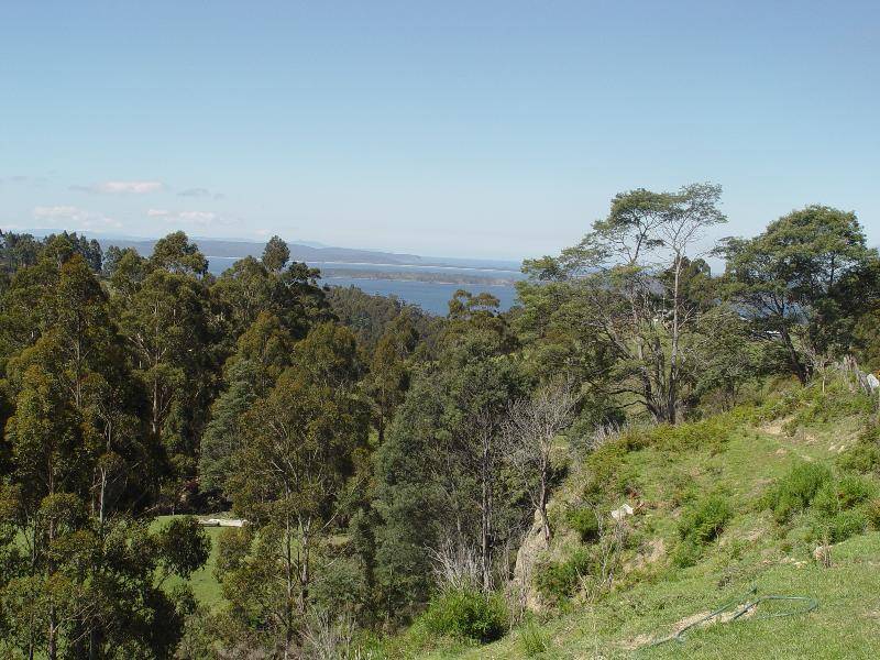 Lot 1 Dulcia Road, Gordon TAS 7150