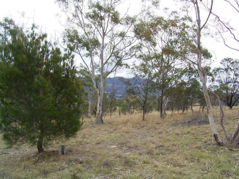 99 Glen Dhu Road, Molesworth TAS 7140