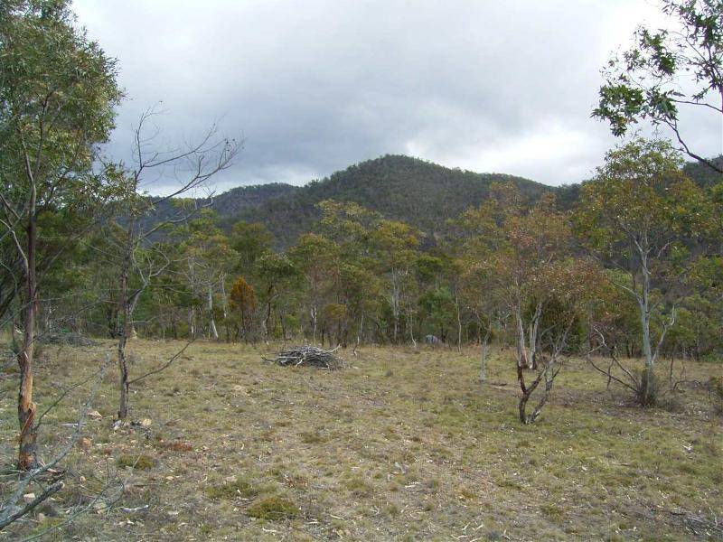 99 Glen Dhu Road, Molesworth TAS 7140