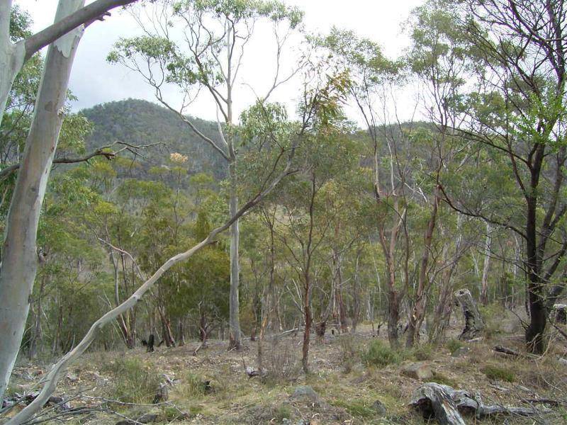 99 Glen Dhu Road, Molesworth TAS 7140