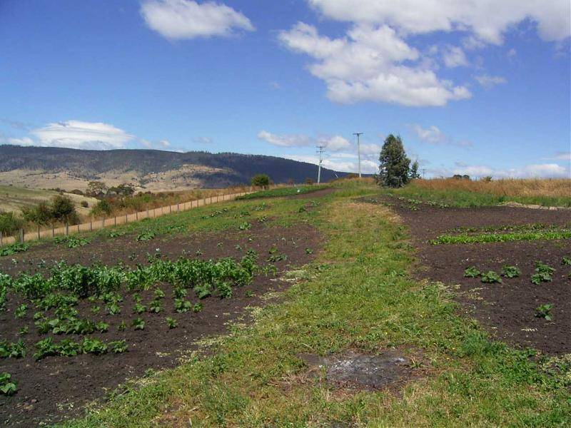 130 Cawthorns Lane, Rosegarland TAS 7140