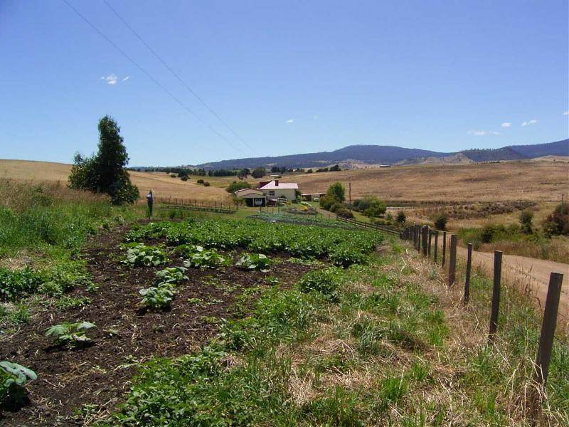 130 Cawthorns Lane, Rosegarland TAS 7140