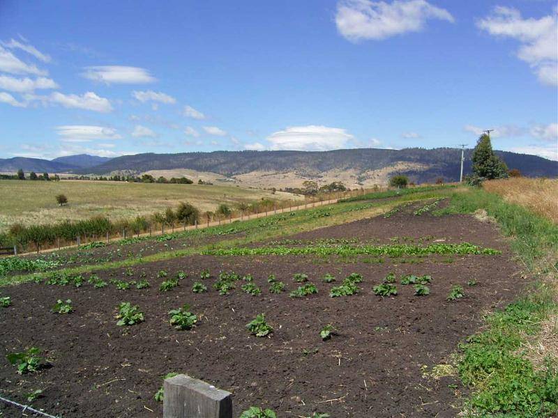 130 Cawthorns Lane, Rosegarland TAS 7140