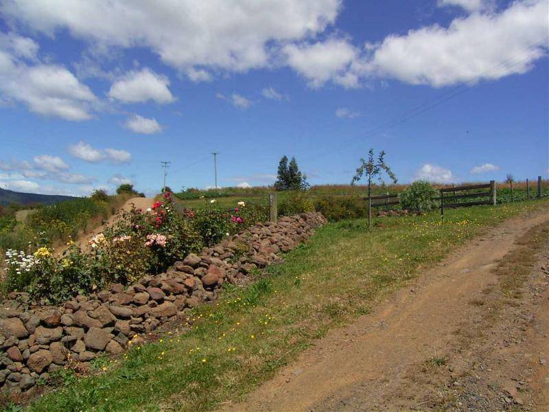 130 Cawthorns Lane, Rosegarland TAS 7140