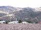 14 Narcissus Avenue, Dromedary TAS 7030