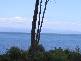 Lot 1 White Beach Road, White Beach TAS 7184