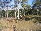 Lot 2 Masons Point Road, Eaglehawk Neck TAS 7179