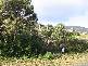 Lot 4 Eagleview Road, Nubeena TAS 7184