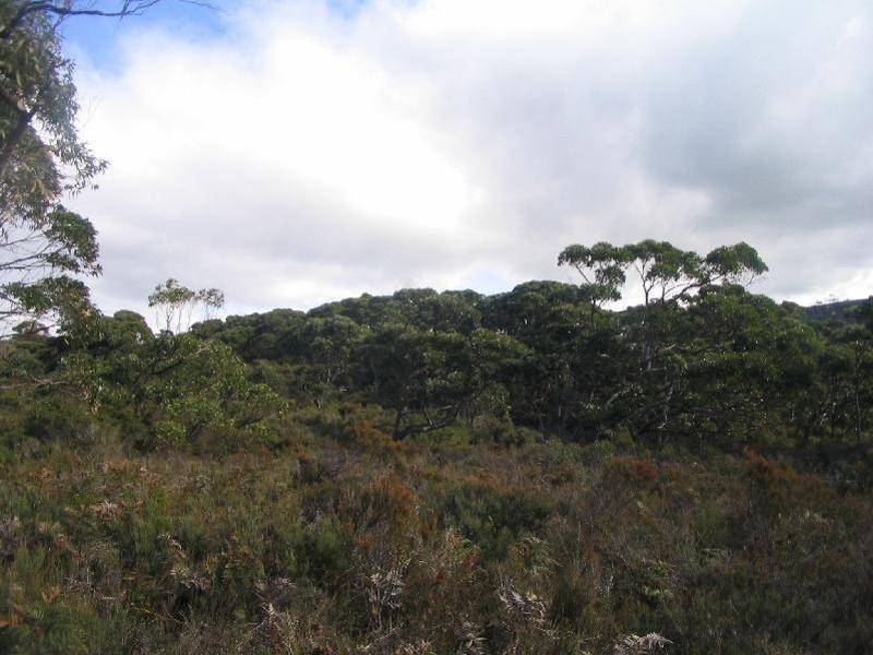 Lot 1 Dog Bark Road, Port Arthur TAS 7182