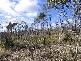 Lot 2 Sommers Bay Road, Murdunna TAS 7178
