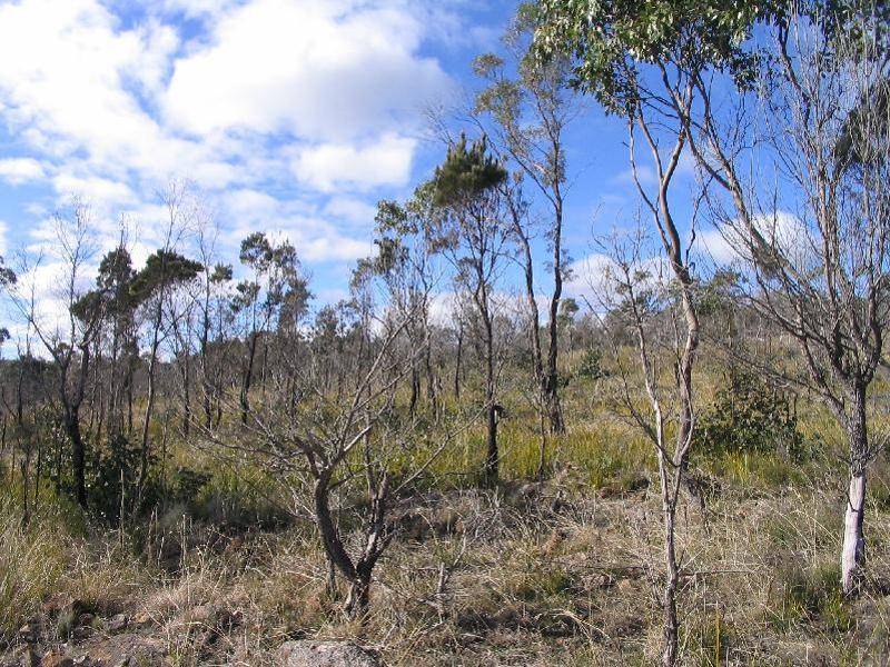Lot 2 Sommers Bay Road, Murdunna TAS 7178