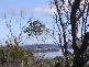 Lot 2 Sommers Bay Road, Murdunna TAS 7178