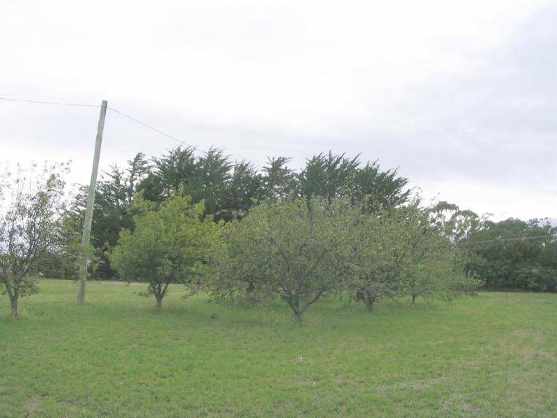 168 Sommers Bay Road, Murdunna TAS 7178