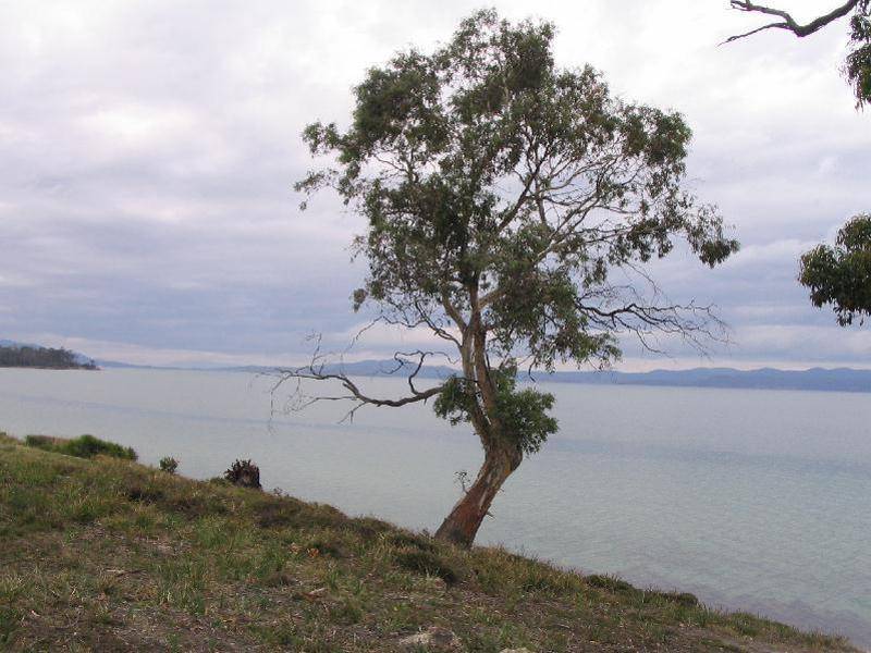 16 Turners Road, Saltwater River TAS 7186