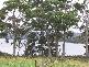 Lot 1 Safety Cove Road, Port Arthur TAS 7182