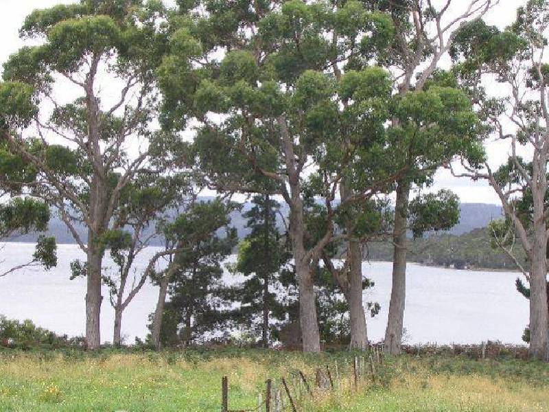 Lot 1 Safety Cove Road, Port Arthur TAS 7182