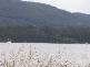 Lot 1 Safety Cove Road, Port Arthur TAS 7182