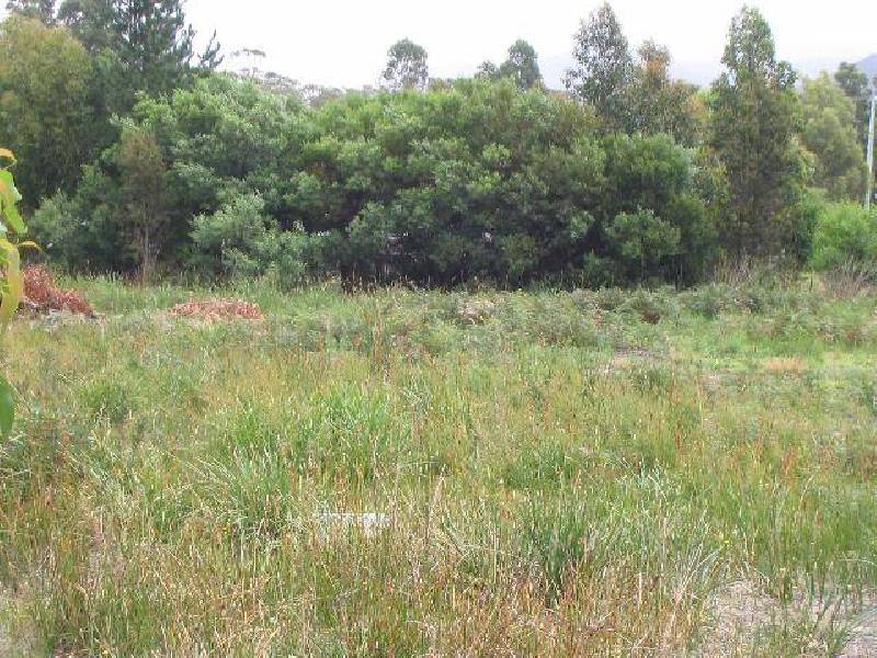 46 Skeggs Avenue, White Beach TAS 7184
