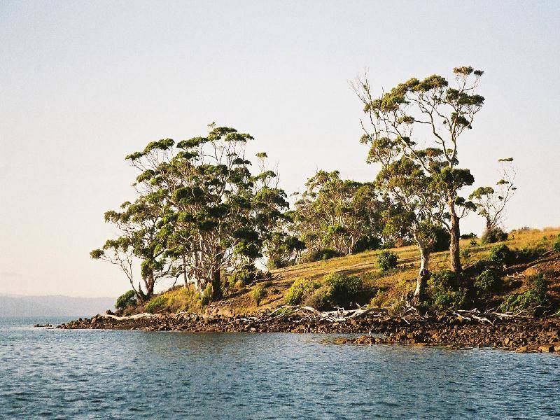 Lot 1 Norfolk Bay, Dunalley TAS 7177