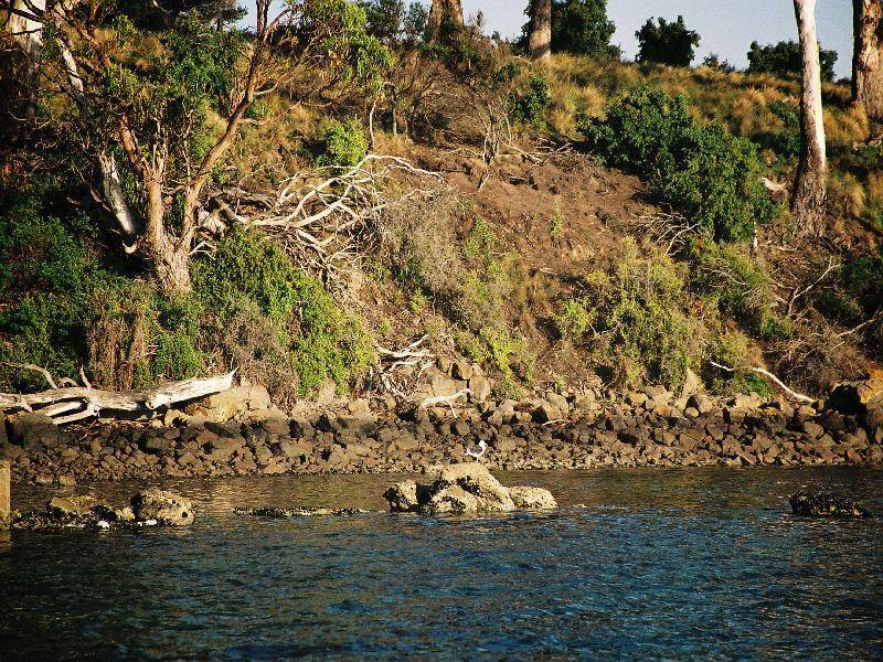 Lot 1 Norfolk Bay, Dunalley TAS 7177
