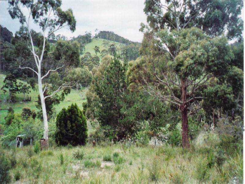 Lot 1 Nubeena Back Road, Nubeena TAS 7184