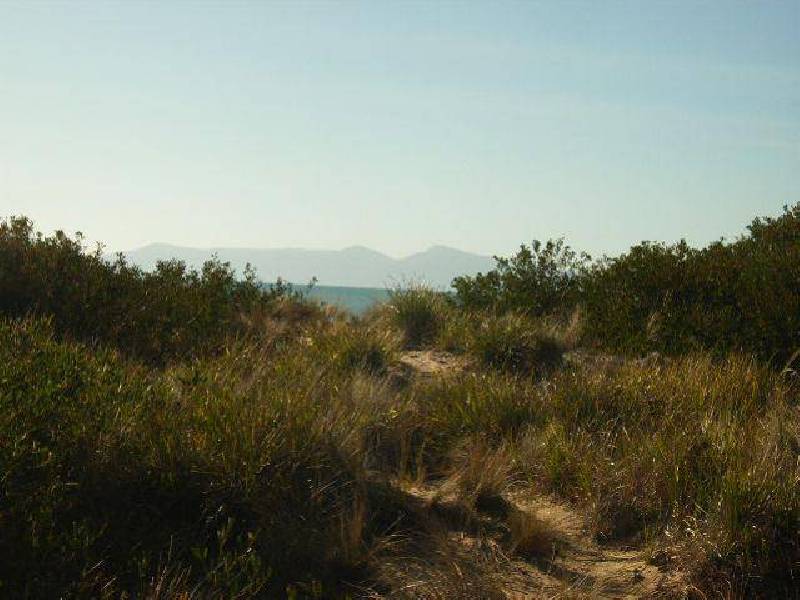Lot 62 Cambria Drive, Swansea TAS 7190