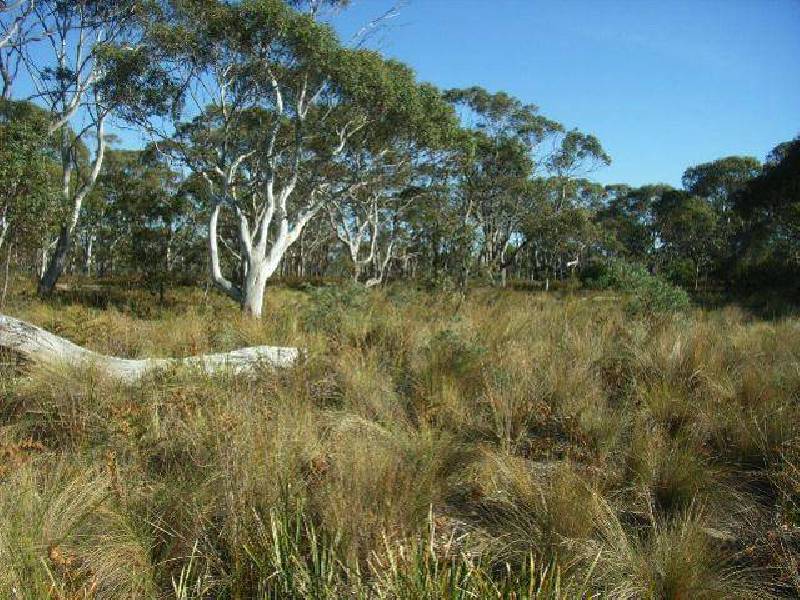 Lot 62 Cambria Drive, Swansea TAS 7190