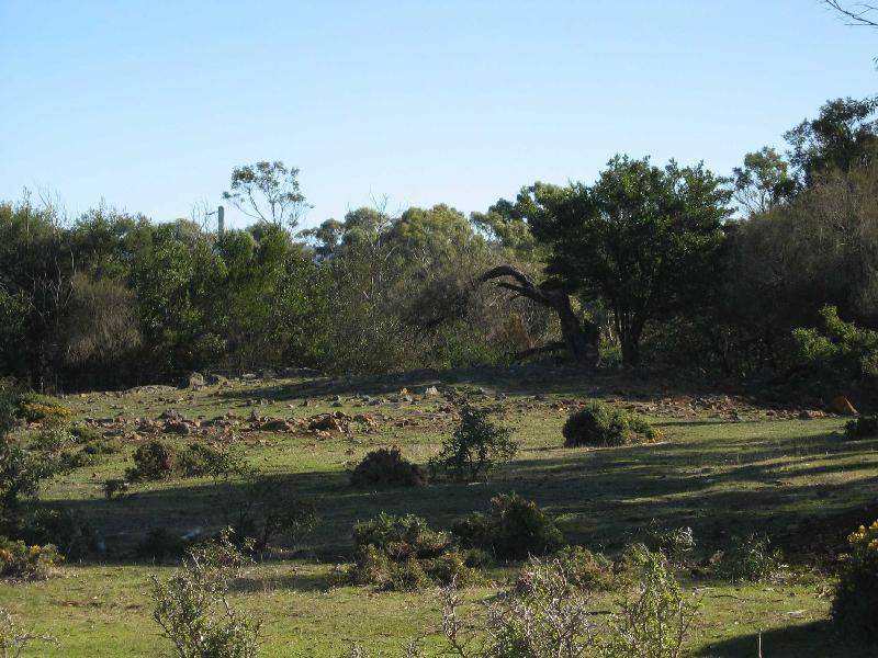 9 Tasman Highway, Swansea TAS 7190