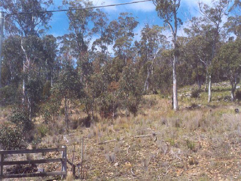 Lot 29 Brewis Place, Lake Leake TAS 7210