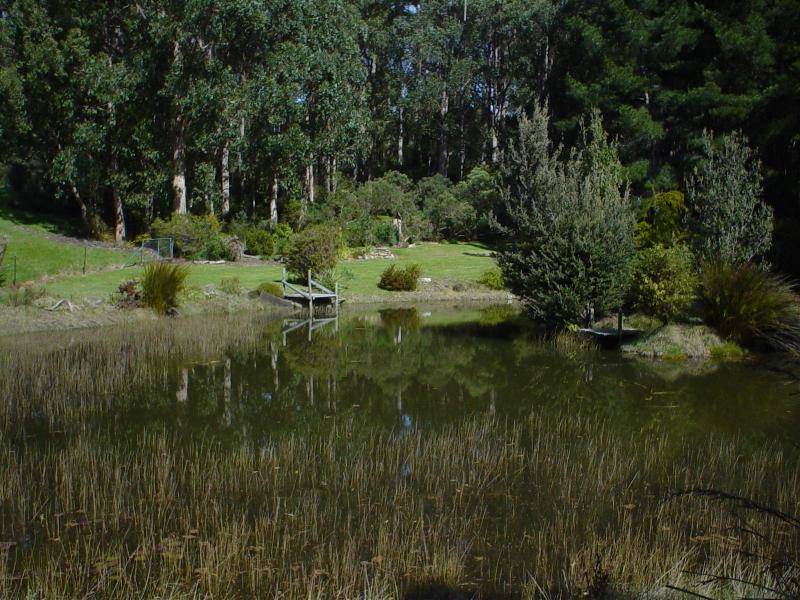 82 Narrows Road, Strathblane TAS 7109