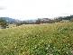 Lot 1 Cross Road, Lucaston TAS 7109