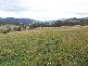 Lot 1 Cross Road, Lucaston TAS 7109