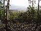 Lot 1 Sugarloaf Road, Forcett TAS 7173