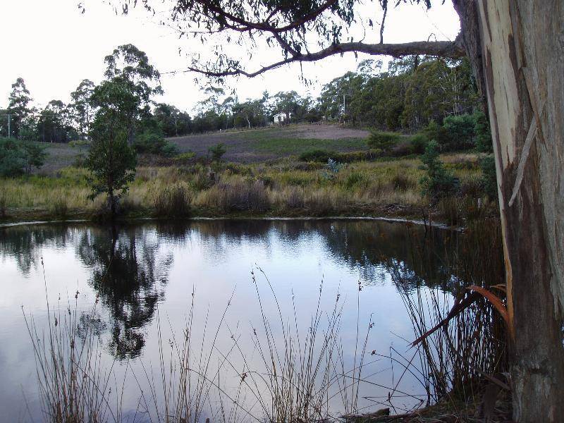 Lot 1 Sugarloaf Road, Forcett TAS 7173