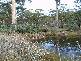 Lot 1 Sugarloaf Road, Forcett TAS 7173