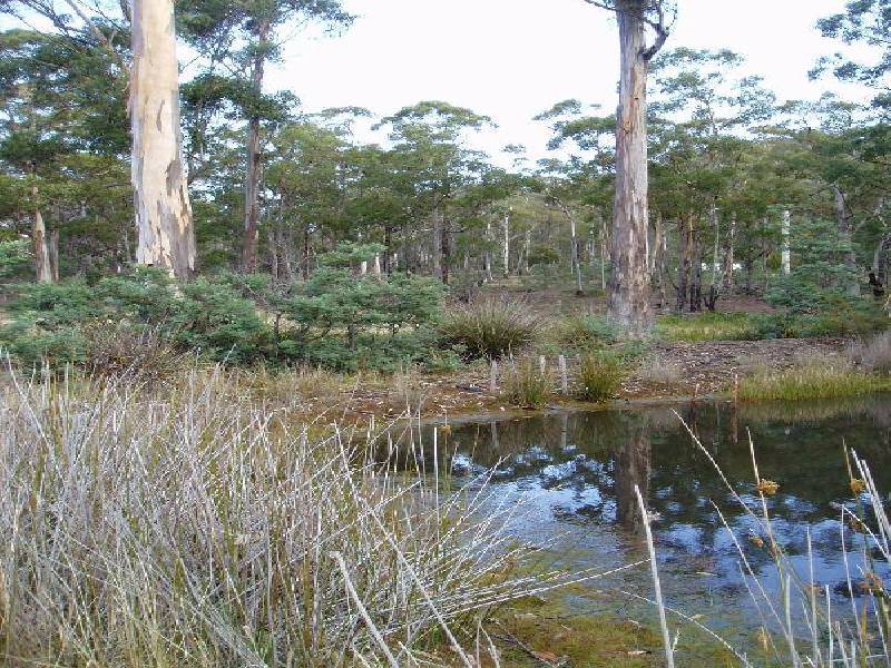 Lot 1 Sugarloaf Road, Forcett TAS 7173