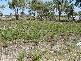 Lot 3 Old Forcett Road, Dodges Ferry TAS 7173