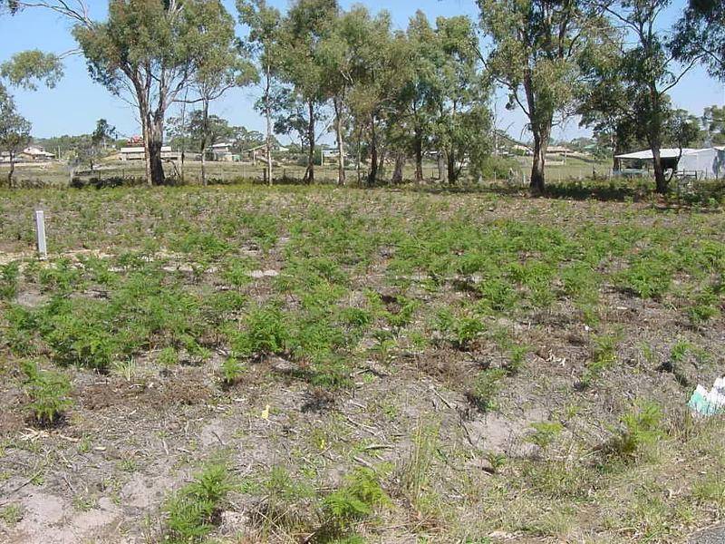 Lot 3 Old Forcett Road, Dodges Ferry TAS 7173