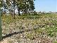 Lot 3 Old Forcett Road, Dodges Ferry TAS 7173