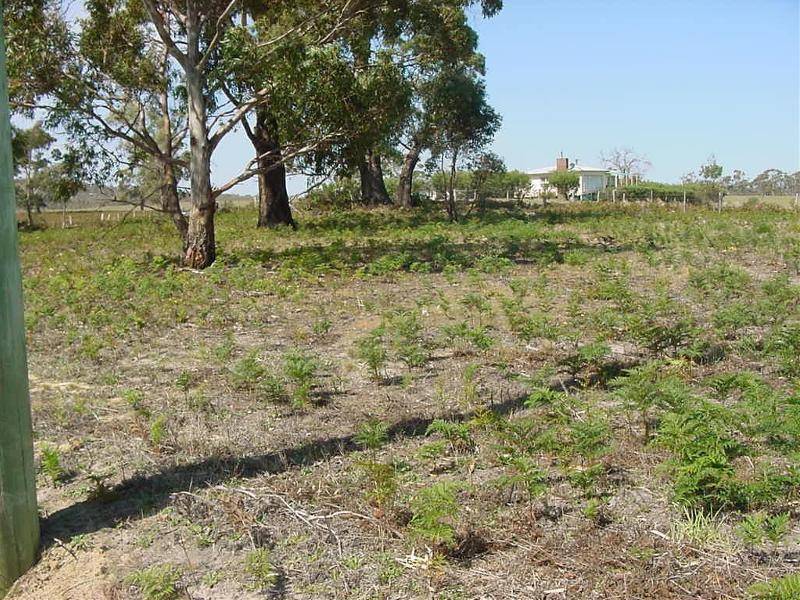 Lot 3 Old Forcett Road, Dodges Ferry TAS 7173