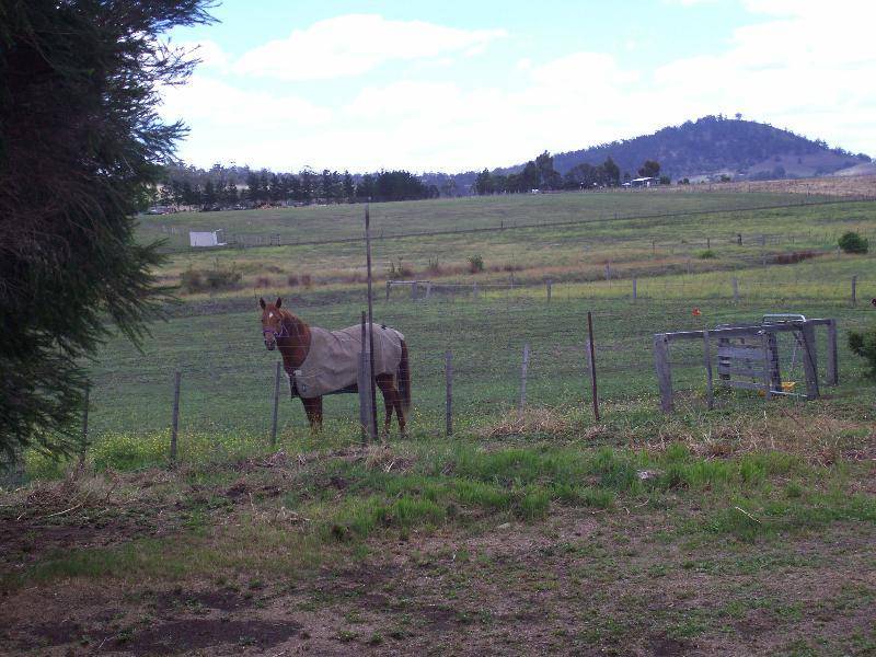 77 Branders Road, Orielton TAS 7172