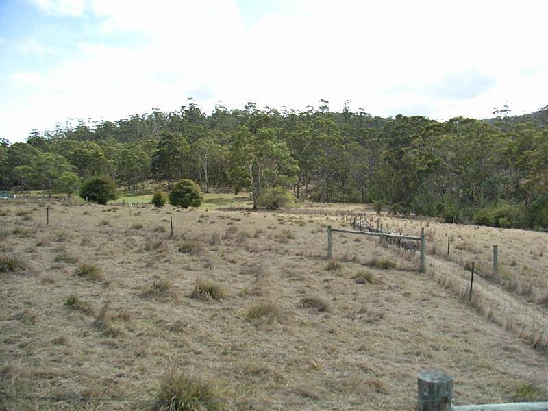 901 Nugent Road, Wattle Hill TAS 7172