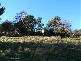 1229 East Tamar Highway, Dilston TAS 7252