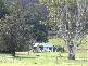 . Liena Road, Mole Creek TAS 7304